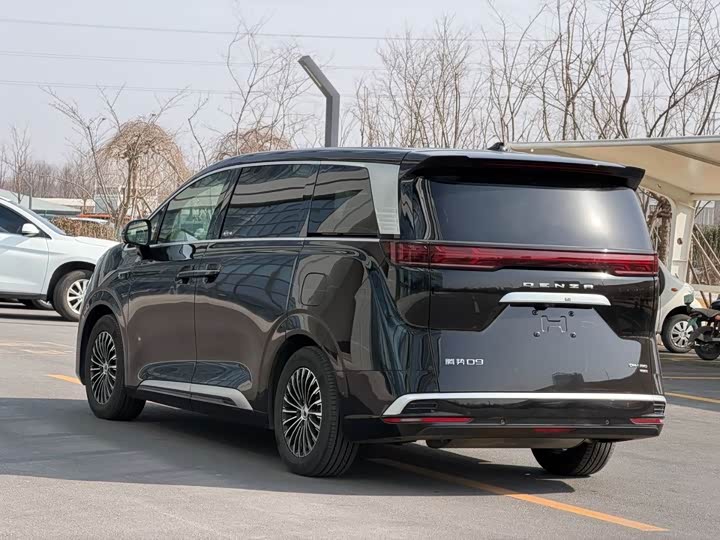 Фото 8 - Denza D9