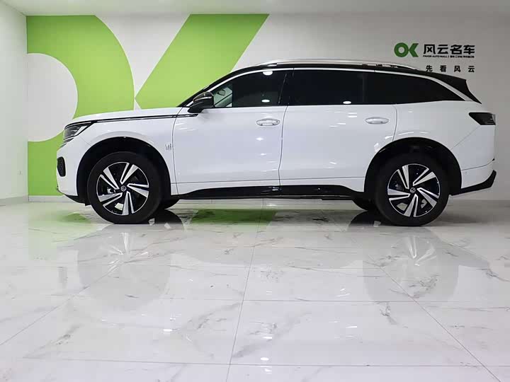 Фото 4 - Volkswagen Tavendor