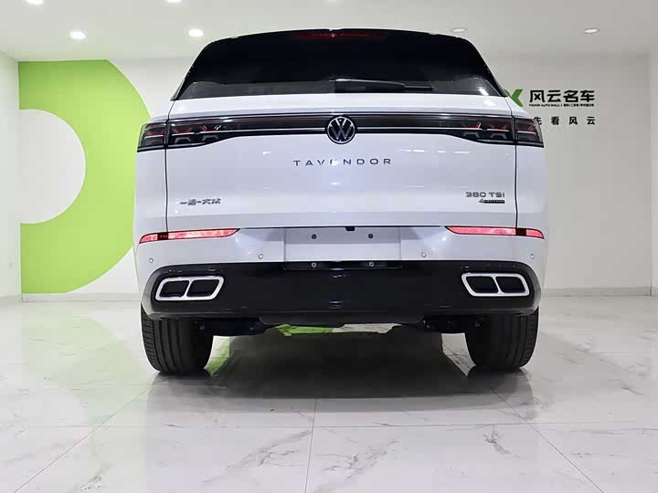 Фото 5 - Volkswagen Tavendor