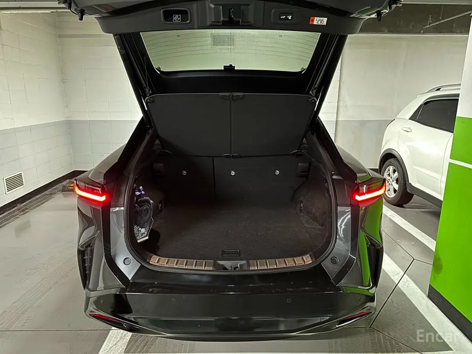 Фото 10 - Lexus RZ