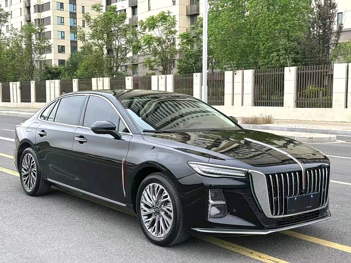 Фото 3 - Hongqi H5