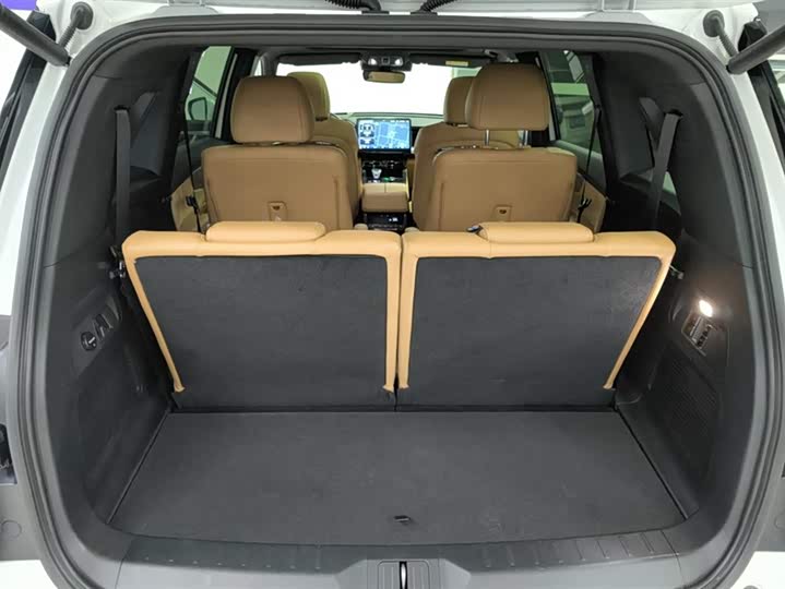 Фото 4 - GAC Trumpchi ES9