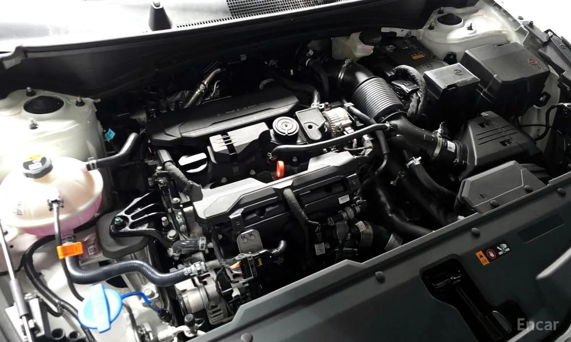 Фото 6 - Kia Sportage