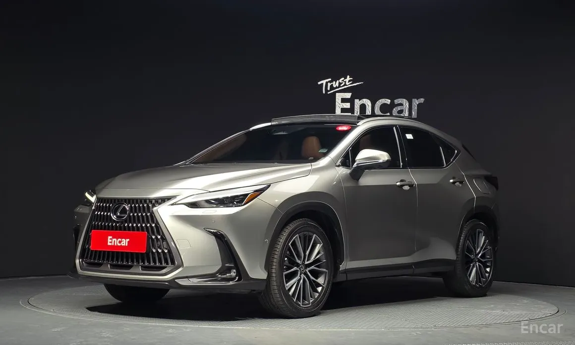 Фото 1 - Lexus NX