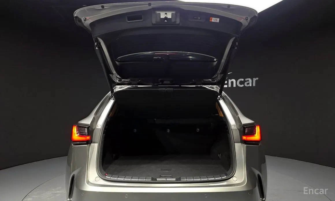 Фото 19 - Lexus NX