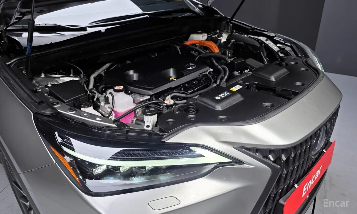 Фото 6 - Lexus NX