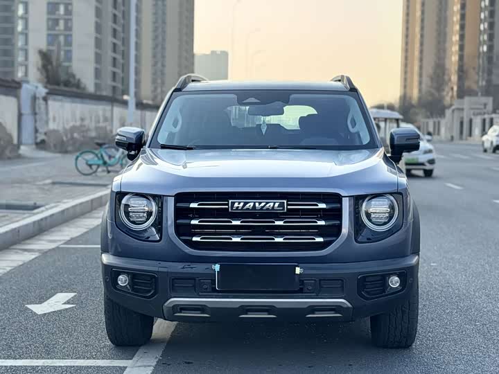 Фото 2 - Haval Dargo