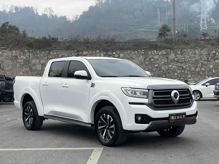 Фото 2 - Great Wall Pao