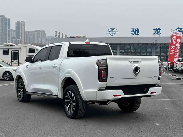 Фото 4 - Great Wall Pao