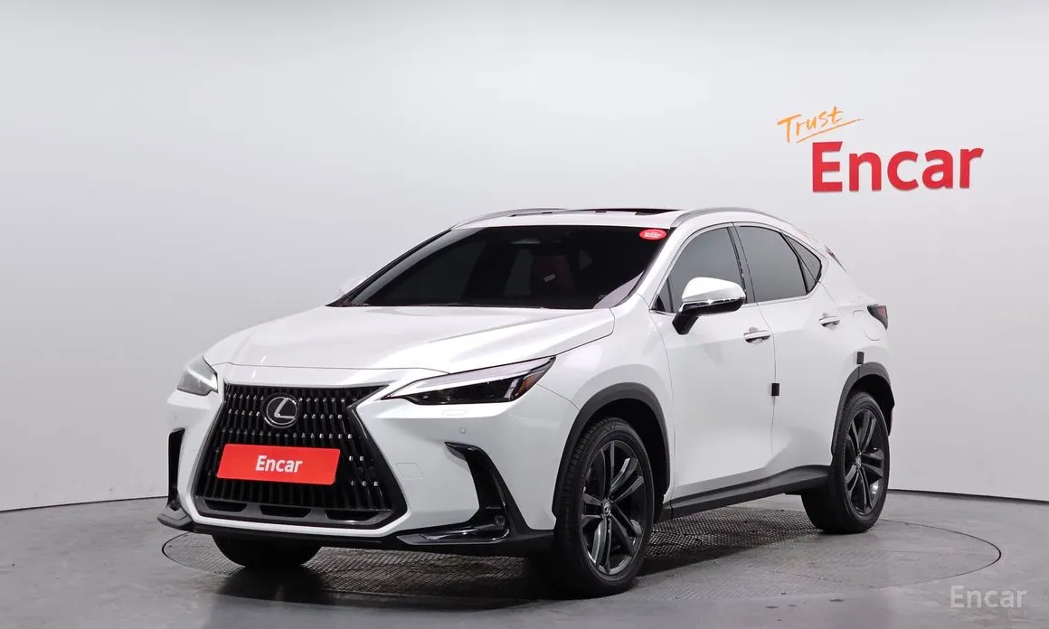 Фото 1 - Lexus NX