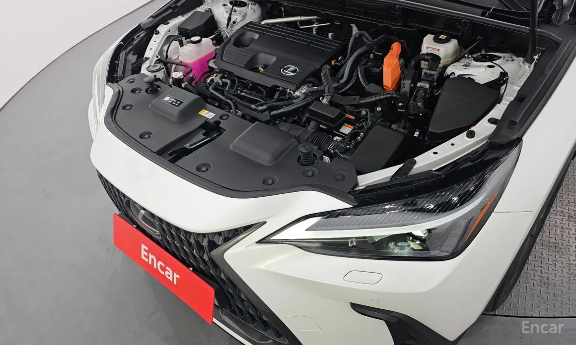 Фото 6 - Lexus NX