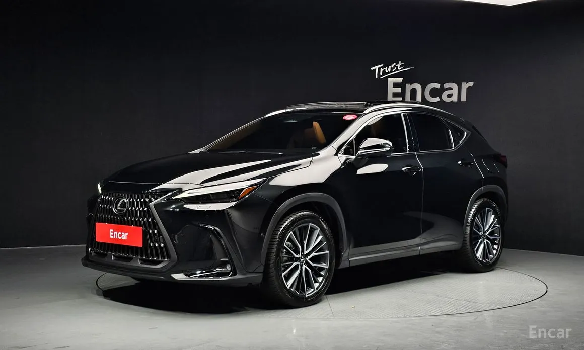 Фото 1 - Lexus NX