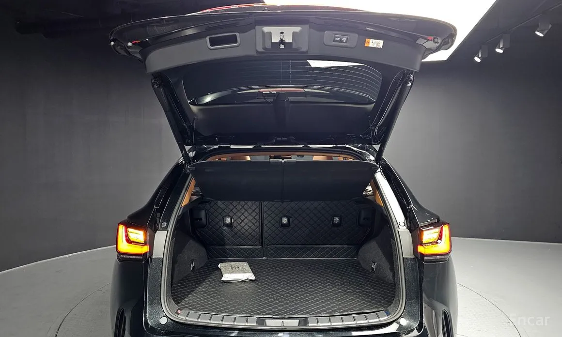 Фото 20 - Lexus NX