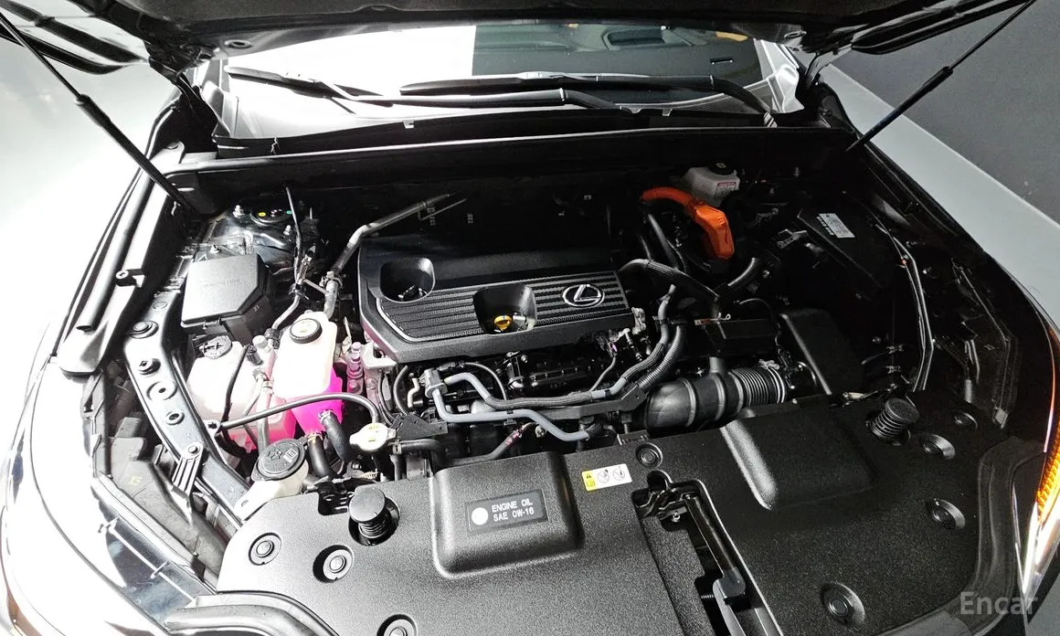 Фото 6 - Lexus NX