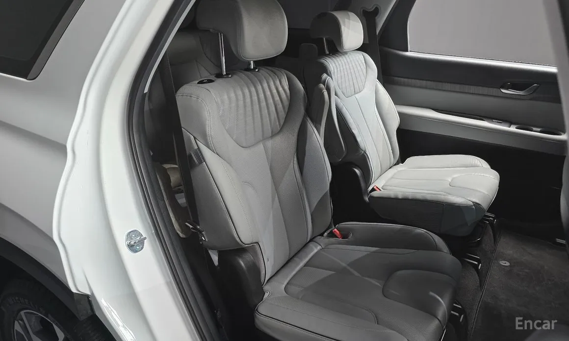 Фото 12 - Hyundai Palisade