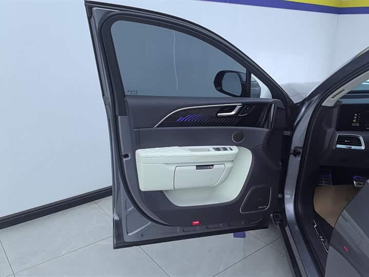 Фото 7 - Hongqi E-HS9