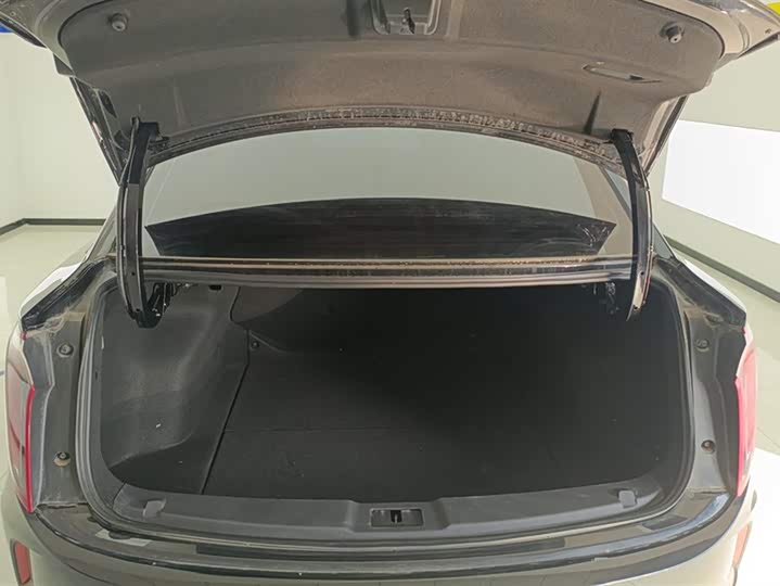 Фото 4 - Hongqi E-QM5