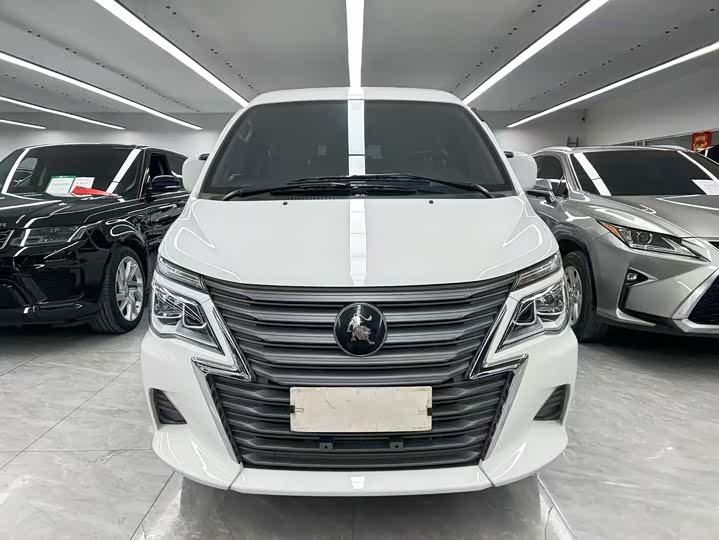 Фото 2 - Dongfeng Forthing Lingzhi M5