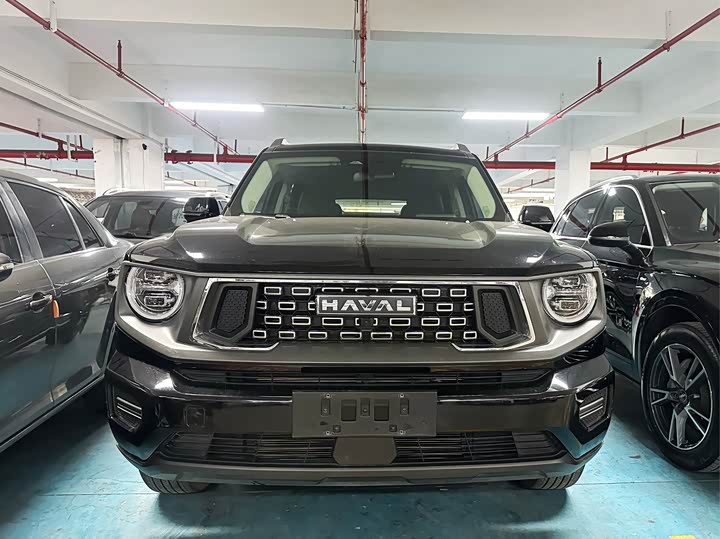 Фото 2 - Haval H-Dog