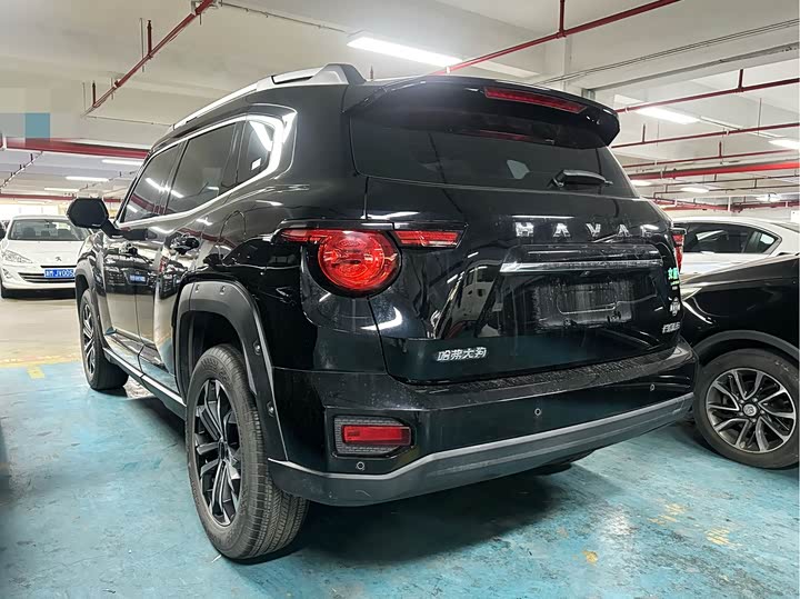 Фото 4 - Haval H-Dog