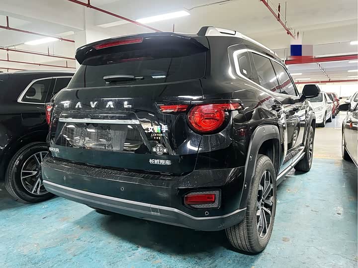 Фото 6 - Haval H-Dog