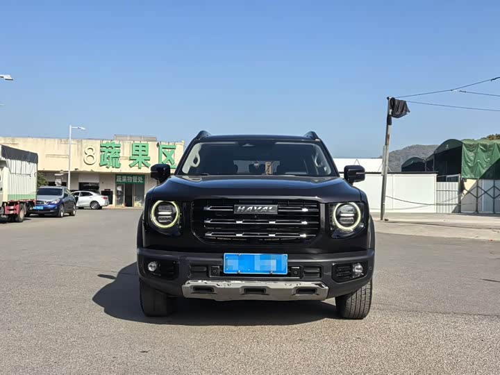 Фото 2 - Haval Dargo