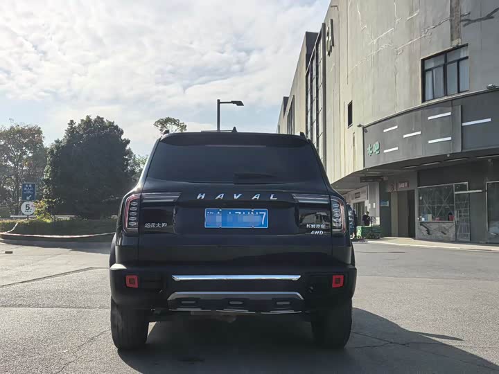 Фото 4 - Haval Dargo