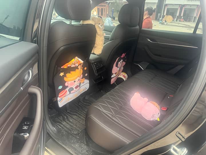 Photo 6 - Geely Monjaro