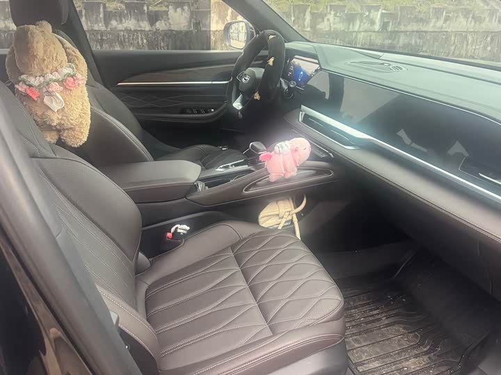 Photo 8 - Geely Monjaro