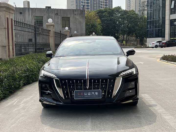 Фото 2 - Hongqi H6