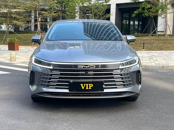 Фото 2 - BYD Destroyer 05