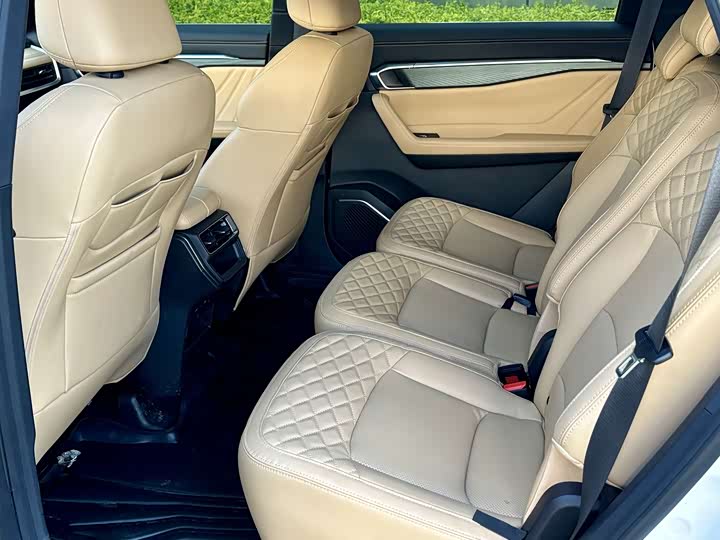 Фото 7 - Geely Okavango L