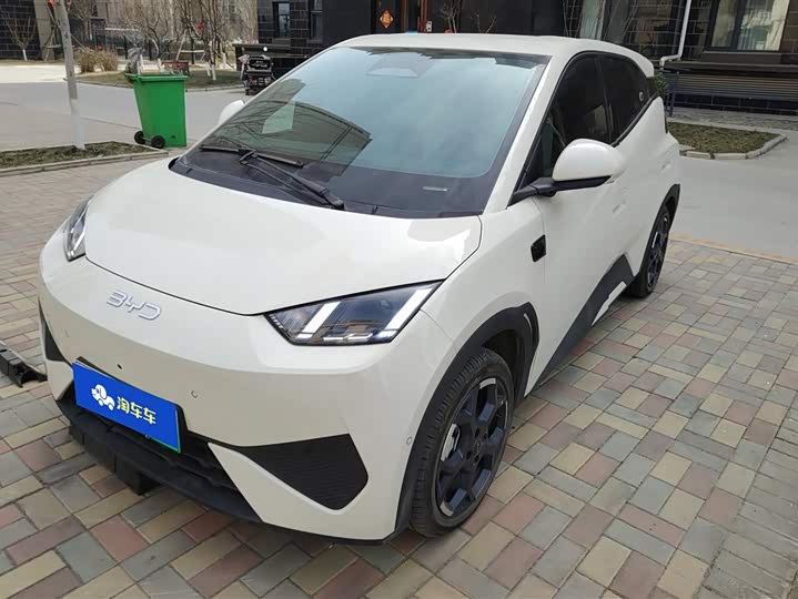 Фото 1 - BYD Seagull