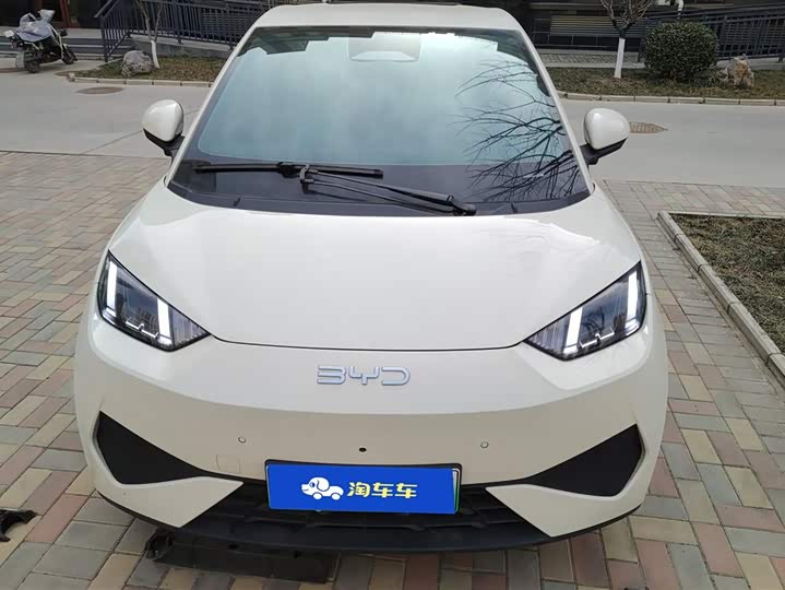 Фото 2 - BYD Seagull