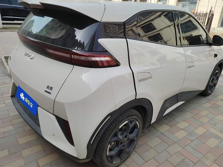 Фото 3 - BYD Seagull