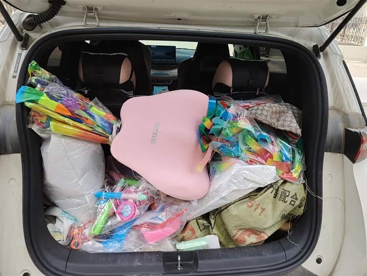 Фото 4 - BYD Seagull