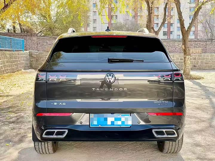 Фото 8 - Volkswagen Tavendor