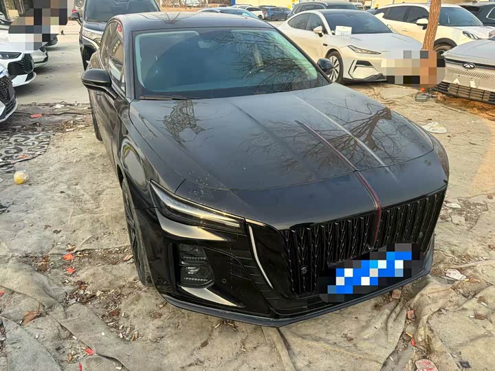 Фото 3 - Hongqi H5