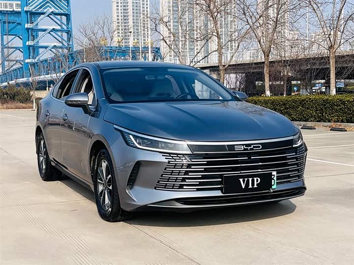 Фото 2 - BYD Destroyer 05