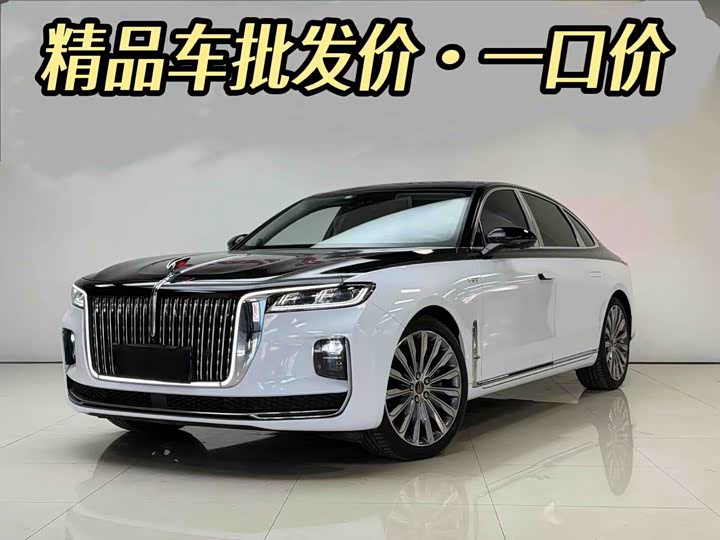 Фото 2 - Hongqi H9