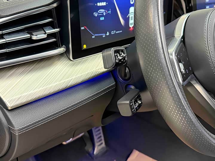 Фото 5 - Hongqi H9