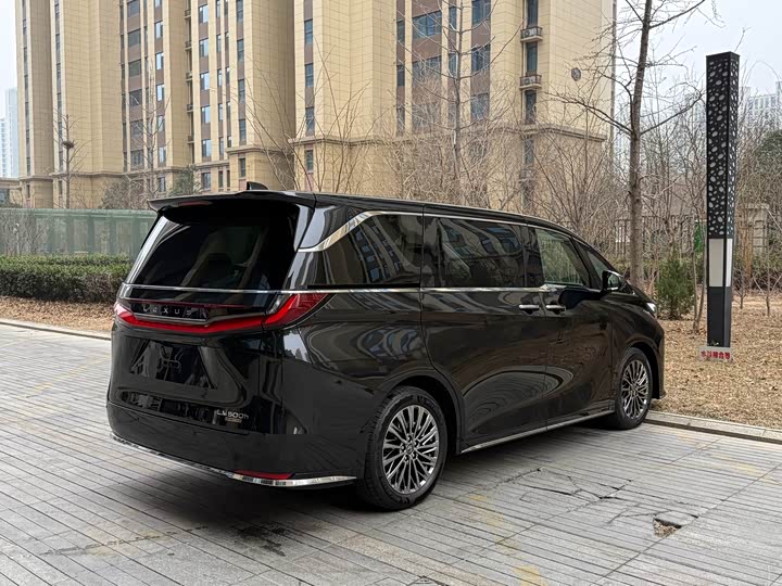 Фото 7 - Lexus LM