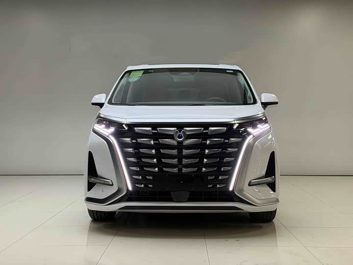 Фото 1 - Denza D9