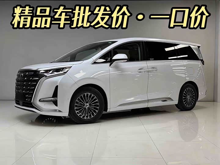 Фото 2 - Denza D9