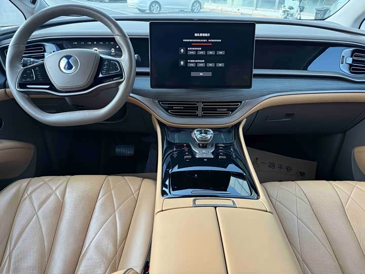 Фото 4 - Denza D9