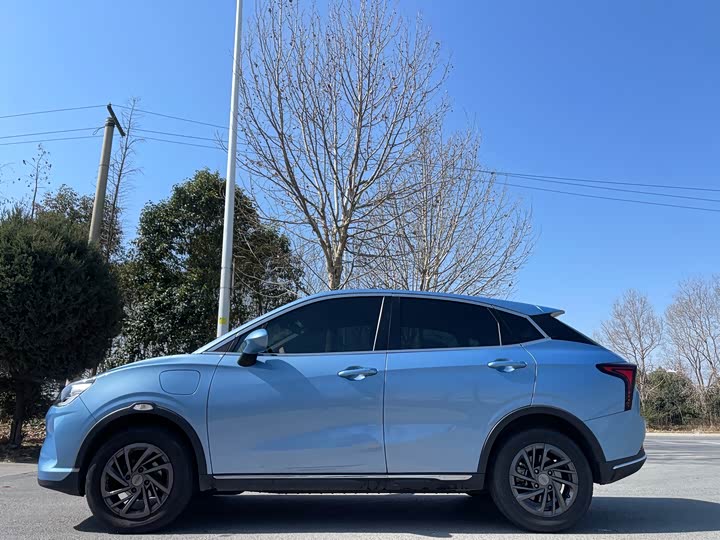 Фото 4 - Hozon V