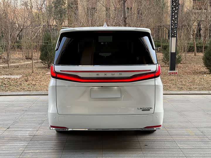 Фото 5 - Lexus LM