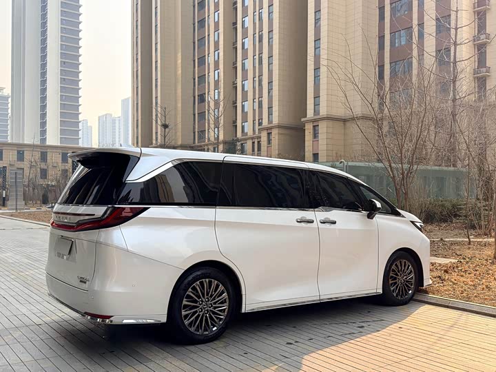 Фото 5 - Lexus LM