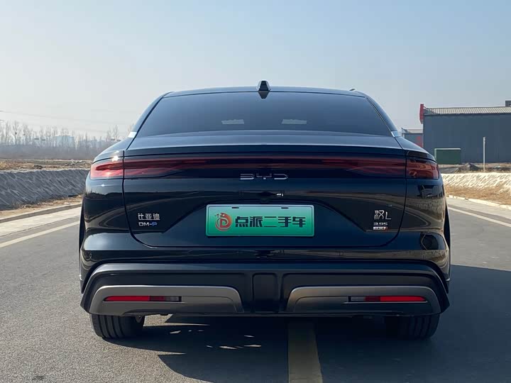 Фото 4 - BYD Han L