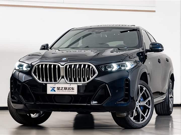 Фото 3 - BMW X6